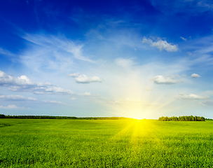 Image showing Spring summer green field scenery lanscape