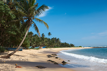 Image showing Idyllic beach. Sri Lanka