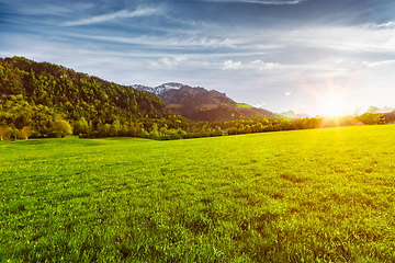 Image showing Alpine meadow in Bavaria, Germany