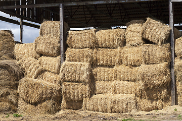 Image showing bales of straw