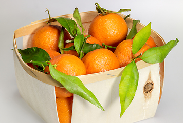 Image showing Oranges in wooden box