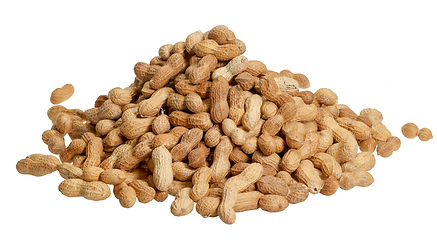 Image showing pile of peanuts