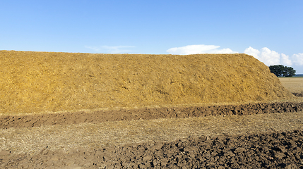 Image showing a straw stack