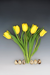 Image showing Healthy Quail Eggs and Spring Tulip Flower Abstract 