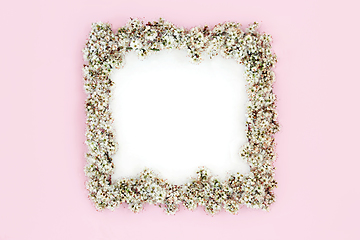 Image showing Blackthorn Blossom Spring Flower Background Border