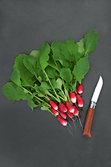 Image showing Freshly Picked Radish Salad Vegetables