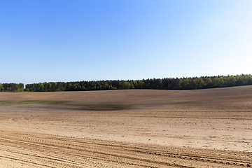 Image showing brown soil