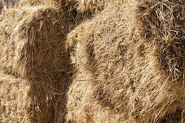 Image showing bales of straw