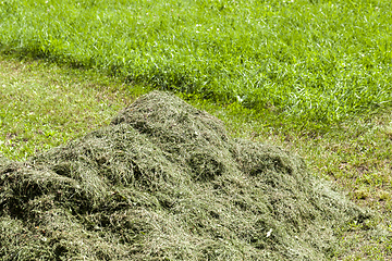 Image showing mow grass lawn