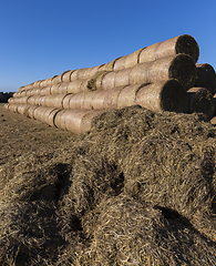 Image showing straw huge