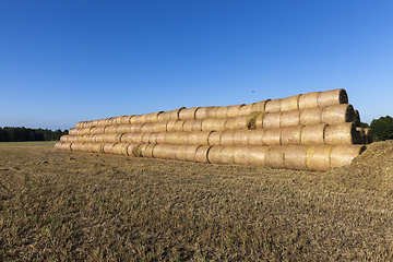 Image showing packaged straw