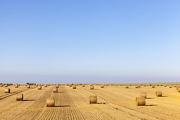 Image showing straw straw