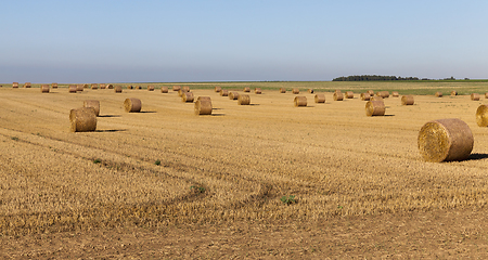Image showing straw straw stack