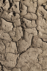 Image showing earth dry crack season
