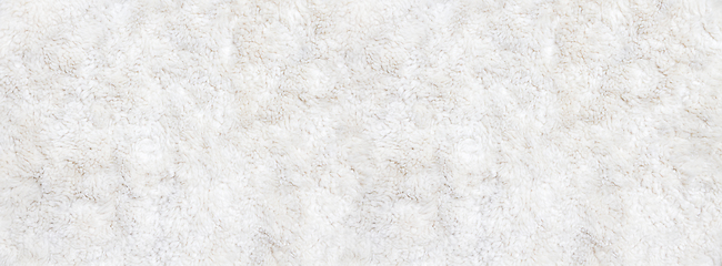 Image showing White fur background close up view. Banner