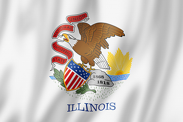 Image showing Illinois flag, USA