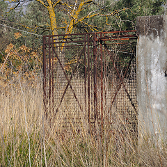 Image showing rusty gate overgrown plants