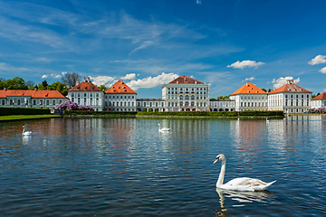 Image showing Swan in pond near Nymphenburg Palace. Munich, Bavaria, Germany