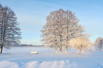 Image showing beautiful winter landscape in the park on a sunny day