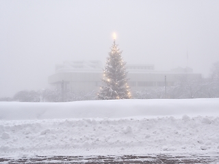 Image showing christmas tree on a foggy day in a small finnish town