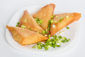 Image showing Traditional ukrainian stuffed pancakes with meat or benderyks with meat, selective focus