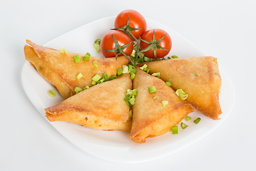 Image showing Traditional ukrainian stuffed pancakes with meat or benderyks with meat, selective focus