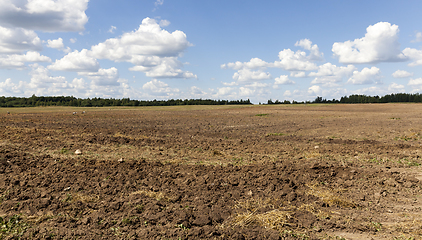 Image showing field to plow soil