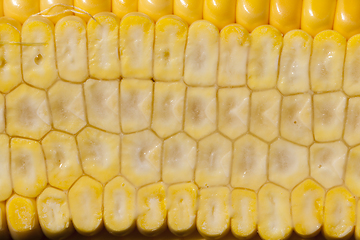 Image showing grain structure corncob