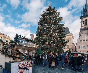 Image showing Christmas tree at Old Town Square in Prague