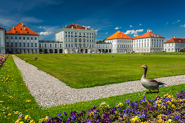 Image showing Goose in garden in front of the Nymphenburg Palace. Munich, Bavaria, Germany