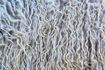 Image showing fleece natural background