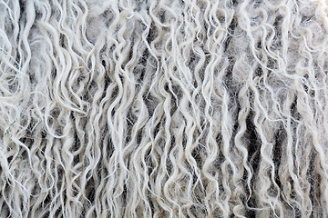 Image showing fleece natural background