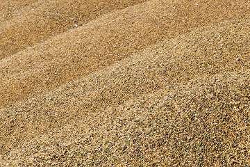 Image showing mixed crop grain