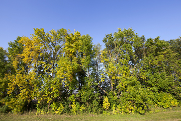 Image showing autumn landscape