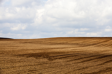 Image showing brown soil