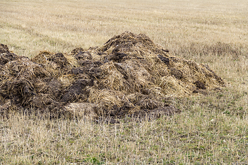 Image showing field with manure heap