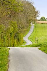 Image showing woodside road scenery