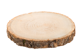 Image showing Wood log slice