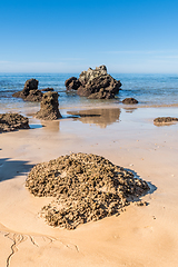 Image showing Beach of Praia da Rocha