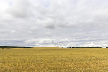 Image showing dull and rainy weather