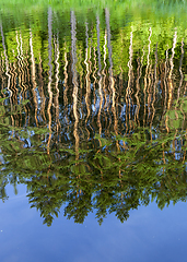 Image showing reflection in the water