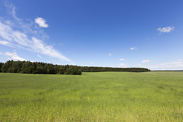 Image showing summer landscape