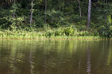 Image showing lake shore