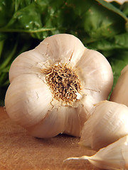 Image showing Garlic