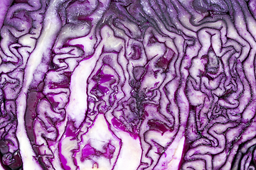 Image showing purple cabbage sliced