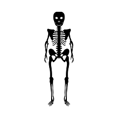 Image showing Halloween Skeleton