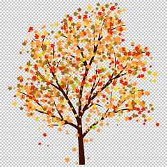 Image showing Autumn maple