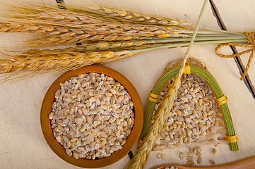 Image showing organic barley grains