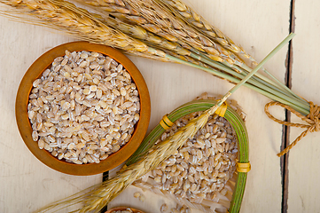 Image showing organic wheat grains