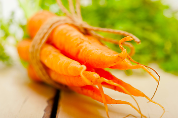 Image showing baby carrots bunch tied with rope